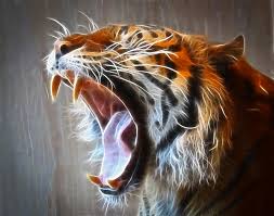 ROAR